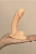 bcf6b3b0-8b8b-11ef-b203-00155d010a00_2c0043a5-0366-11f0-b203-00155d010a00 bcf6b3b0-8b8b-11ef-b203-00155d010a00_2c0043a5-0366-11f0-b203-00155d010a00