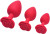AP-S03-Red-M-df-11 AP-S03-Red-M-df-11